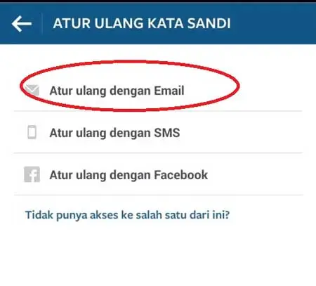 reset password via email instagram terbaru