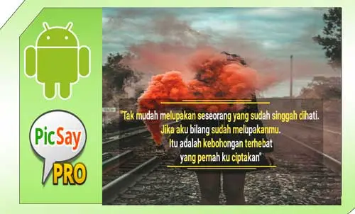 tutorial picsay pro android