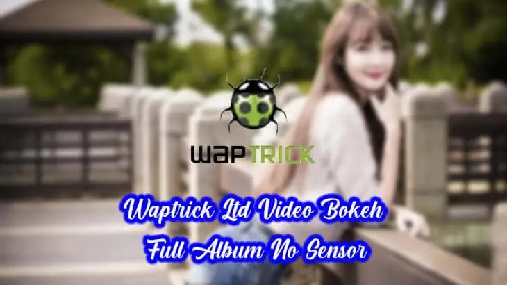 xxnamexx mean waptrick ltd video bokeh full album