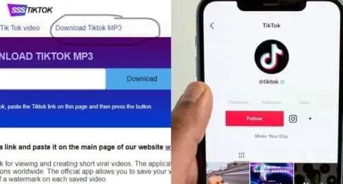 Download Audio Mp3 TikTok Melalui Situs SSSTiktok io