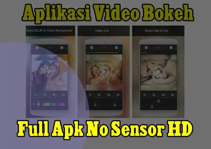 film bokeh full bokeh lights bokeh video download 2020