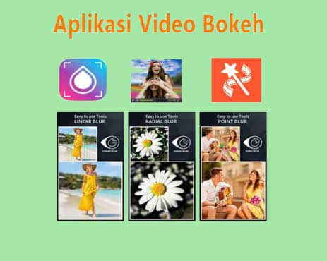 download japanese video bokeh museum