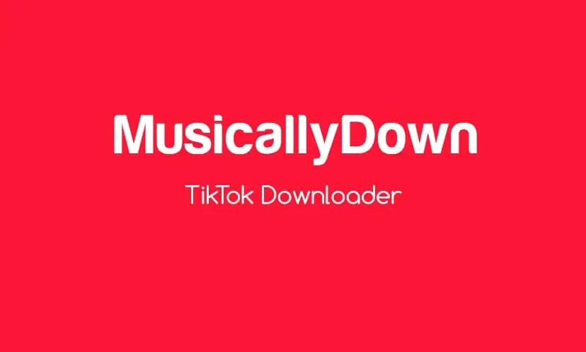 Situs Musicallydown tiktok downloader video