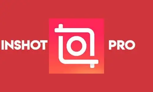 film bokeh full bokeh lights bokeh video download 2020